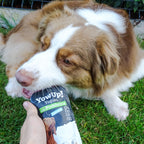 YowUp! Yogurt Chiens Prébiotiques Naturels